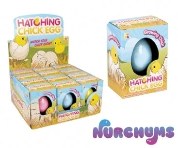NV232 - NURCHUMS™ Chick Hatching Egg