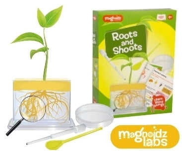 SC236 - Magnoidz Roots & Shoots Science Kit 6+