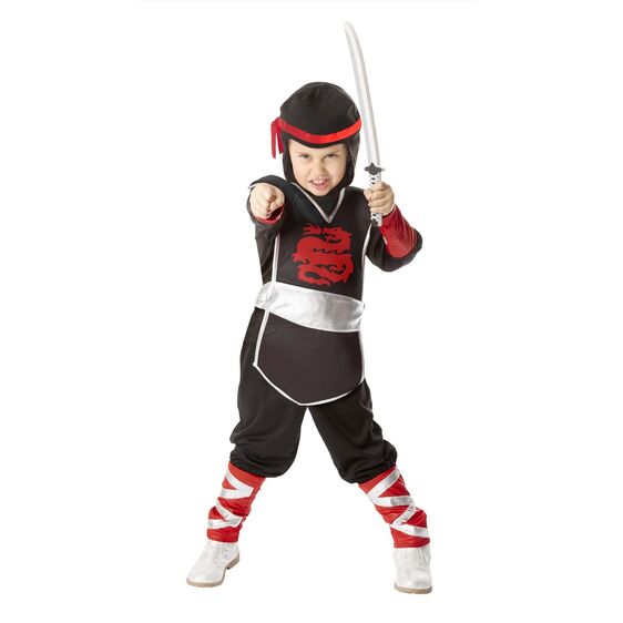 8542 Ninja Role Play Set