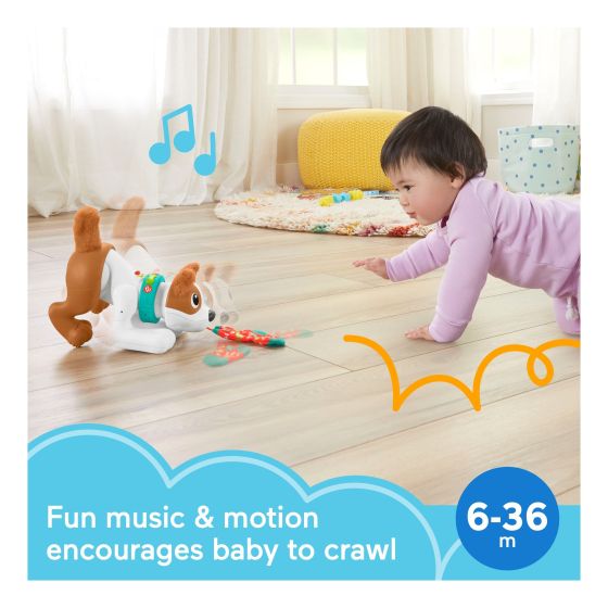 900 HHH14 - J! Fisher Price 123 Crawl With Me Puppy 6M+