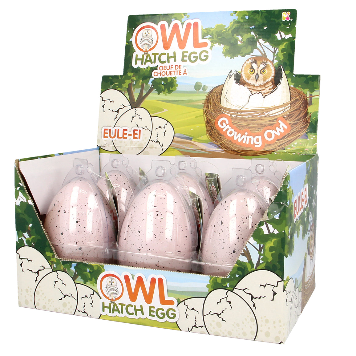 NURCHUMS Large Owl Hatching Eggs