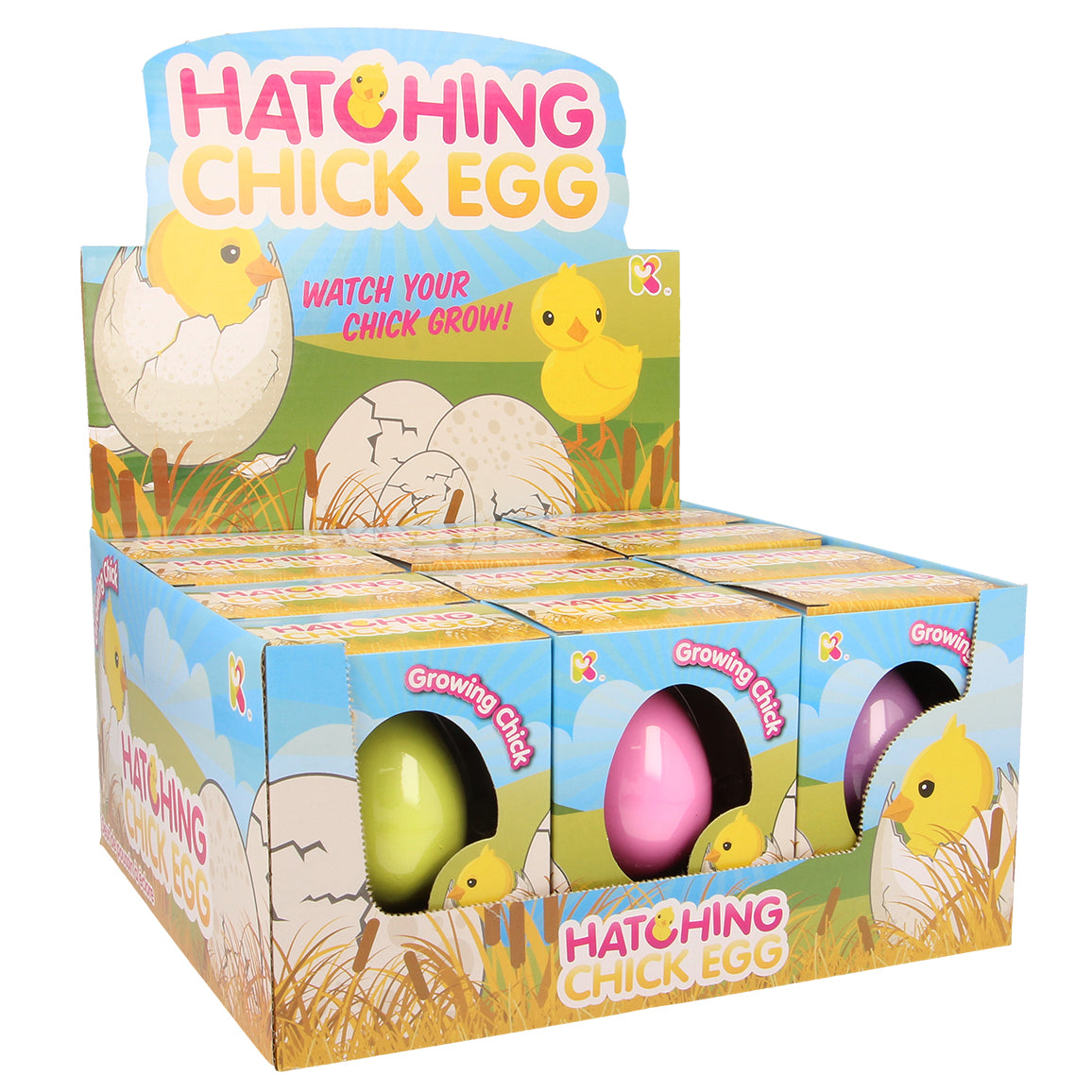 NURCHUMS Small Chick Hatching Eggs