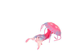CR114 - Stretchy Beanie Jellyfish