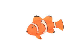 CR115 -  Stretchy Beanie Clown Fish