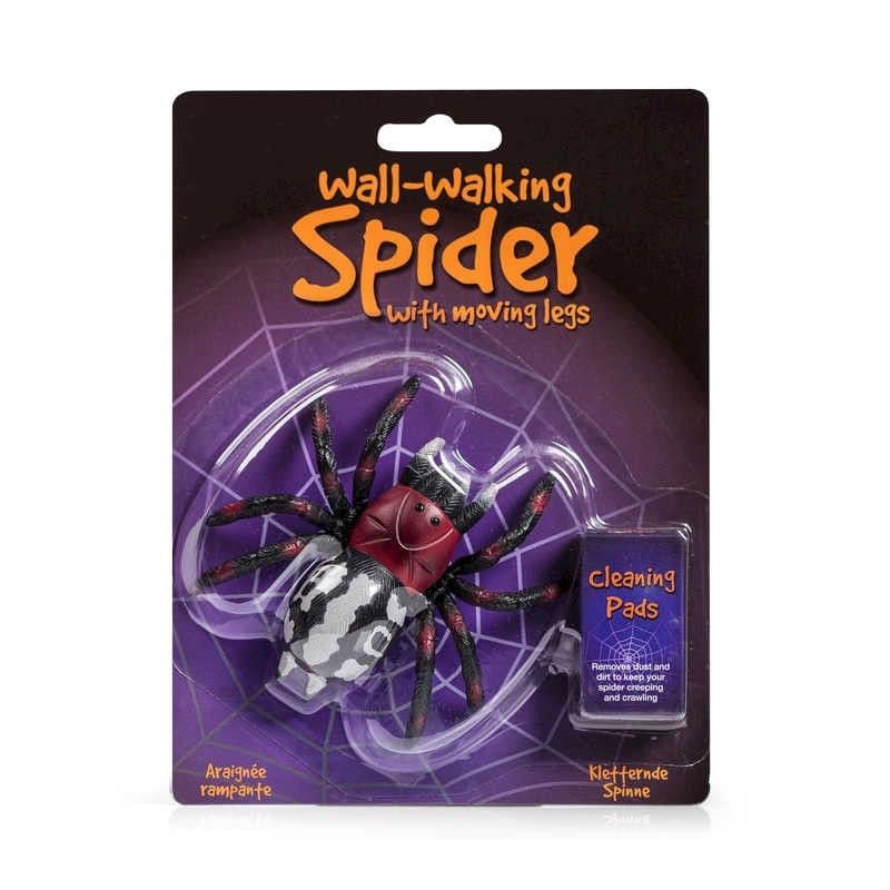 09289 - WALL WALKING SPIDER